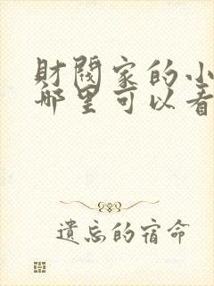 财阀家的小儿子哪里可以看