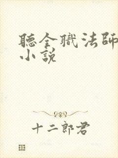 听全职法师有声小说