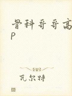 骨科哥哥高hnp