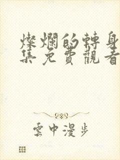 灿烂的转身40集免费观看高清