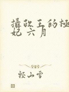 摄政王的极品医妃 六月