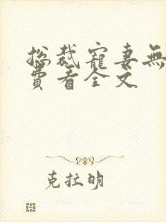 总裁宠妻无度免费看全文封面