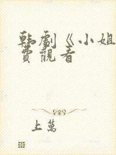 韩剧《小姐》免费观看