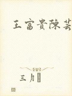 王富贵陈芸小说