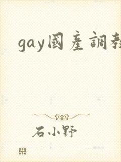 gay国产调教