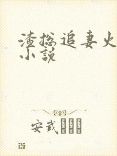 渣总追妻火葬场小说