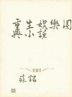 重生娱乐圈的经典小说封面