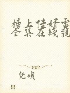 榜上佳婿电视剧全集在线观看完整版高清