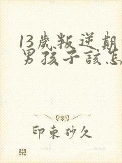 13岁叛逆期的男孩子该怎样去沟通教育