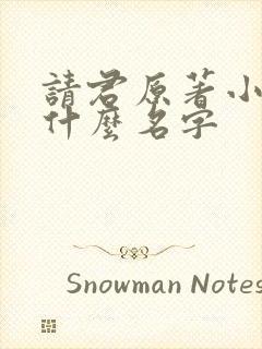 请君原著小说叫什么名字