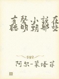 有声小说在线收听明朝那些事儿