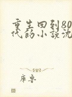 重生回到80年代的小说沈林