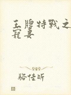 王牌特战之权少宠妻