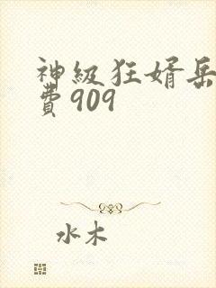 神级狂婿岳风免费909