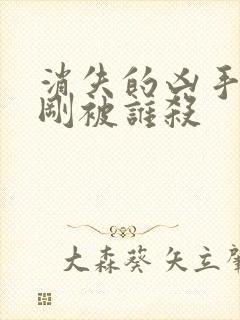 消失的凶手段志刚被谁杀封面