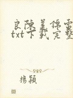 良陈美锦电子书txt下载完整版