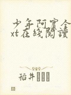 少年阿宾全文txt在线阅读