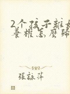 2个孩子离婚抚养权怎么归属