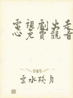 电视剧出走的决心免费观看全集高清封面