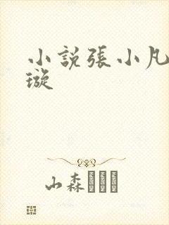 小说张小凡楚清璇封面