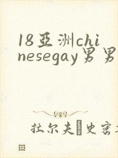 18亚洲chinesegay男男1069
