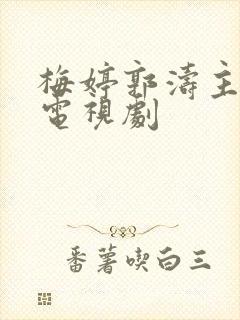 梅婷郭涛主演的电视剧封面