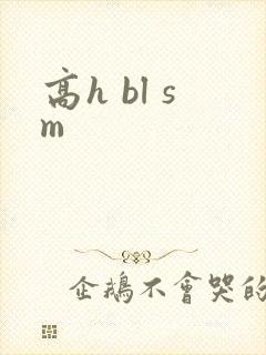高h bl sm