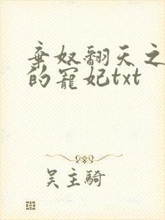 弃奴翻天之少帝的宠妃txt