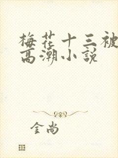 梅花十三被c到高潮小说封面