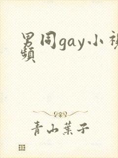 男同gay小视频