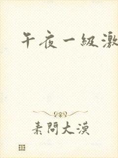 午夜一级激情片