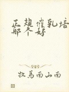 正规催乳培训班哪个好