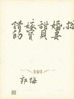 错嫁甜婚,总裁的宝贝妻封面