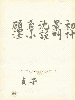 顾鸢沈景初徐承泽小说叫什么名字