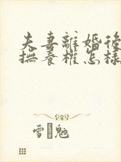 夫妻离婚后孩子抚养权怎样判定