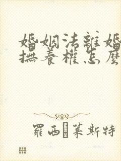 婚姻法离婚孩子抚养权怎么判