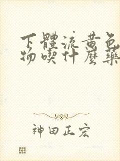 下体流黄色分泌物吃什么药