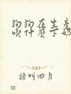 狗狗在生产以后吃什么下奶比较多?