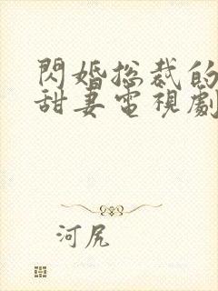 闪婚总裁的契约甜妻电视剧