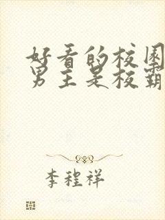 好看的校园小说男主是校霸