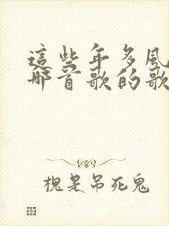 这些年多风雨是哪首歌的歌词封面