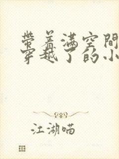 带着满空间军火穿越了的小说