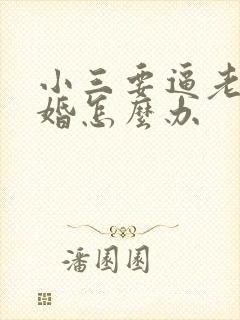 小三要逼老公离婚怎么办