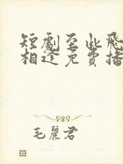 短剧至此飞鸟不相逢免费播放