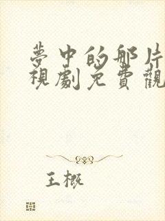 梦中的那片海电视剧免费观看