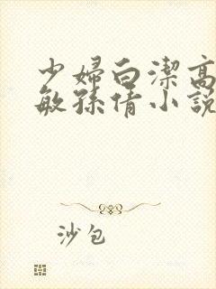 少妇白洁高义张敏孙倩小说封面