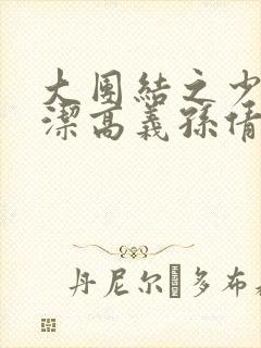 大团结之少妇白洁高义孙倩张敏封面