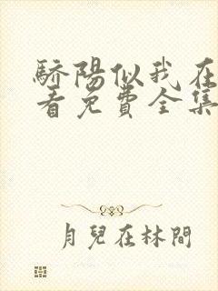 骄阳似我在线观看免费全集电视剧