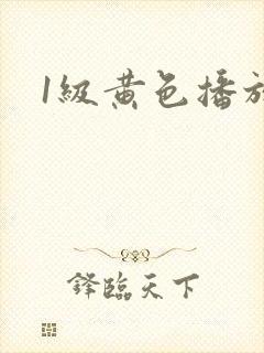 1级黄色播放片