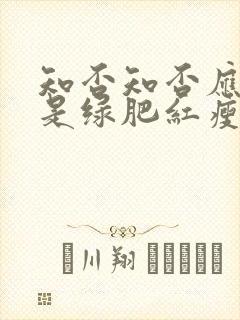 知否知否应是绿是绿肥红瘦封面